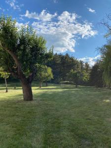 Chalets Les Fermes de Celine a Barcelonnette : photos des chambres