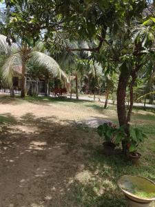 EECS Transit - Village stay