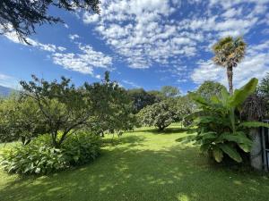 Maisons de vacances Gite du bosc : photos des chambres