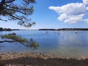 Maisons de vacances Steredeg : photos des chambres