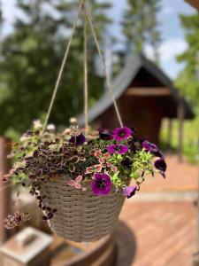 Nordic Sauna Retreat with Hot Tub
