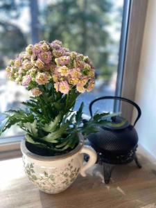 Nordic Sauna Retreat with Hot Tub