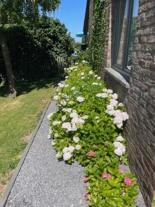 B&B Le calme sur les hauteurs de Spa