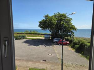 Hohes-Ufer-Moewennest