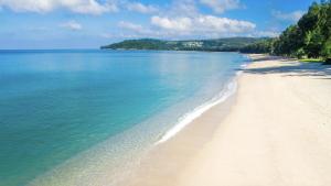 Suite Luna Pool and Gym Access The Ozone Condo