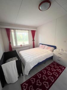 Santa Holiday Big House