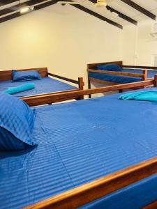 Trinco Bay Dive Hostel