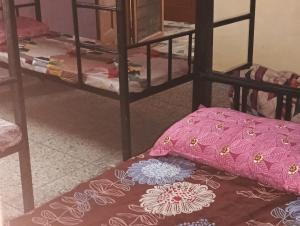 Wander Vibes Female DROM