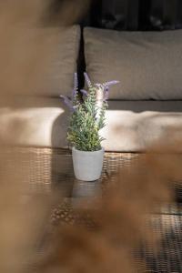 Lodges L-Eguilles de Pins : photos des chambres