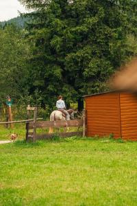 Maringotka pri potoku - Zážitkové ubytovanie - 2 os
