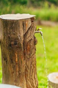 Maringotka pri potoku - Zážitkové ubytovanie - 2 os