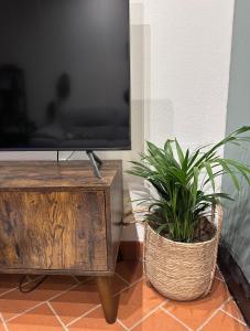 Peaceful Pause in Livorno Cozy apartment for 3-4 people with Private Parking