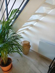 Appartements Appartement cosy centre historique avec rooftop : photos des chambres