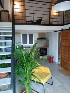 Appartements Appartement cosy centre historique avec rooftop : photos des chambres