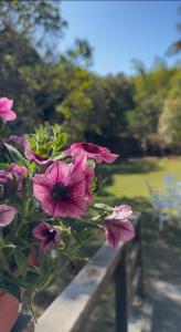 Pousada Casa Cerrado