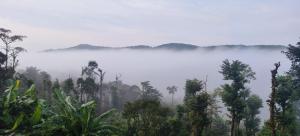 Nisarga Coorg Home Stay