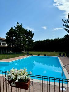 Hotels LOGIS Hotel & Restaurant - LENSOTEL : photos des chambres