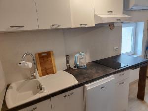 Draga studio apartment pets welcome