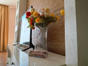 Cozy City Center Studio