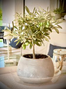 bbolbia - bed and breakfast img21