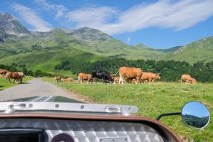 Hotels Mercure Peyragudes Loudenvielle Pyrenees : photos des chambres