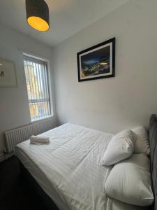 4 Bedroom House, Central City Location