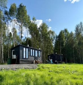 Aurora Forest Cabin
