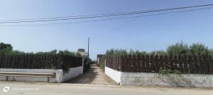 La corte degli ulivi