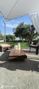 La corte degli ulivi