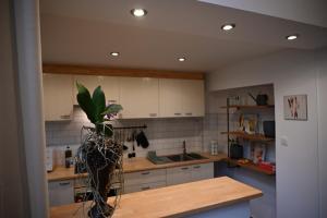 P60 Character & Comfort in 1000 Brussels