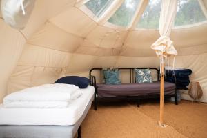 Stargazer Tent met sterrenuitzicht