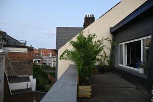 Vintage Soul, Green Vibes, Heart of the City