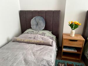 Еко Дрийм апартамент за гости в Шумен