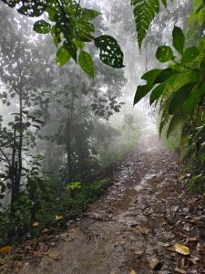 Eco hotel la Esmeralda Cienaga