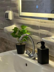 Artistic 1 BDR apt in Madinaty By Kemetland