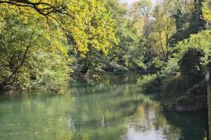 Appartements Le Vert Bois - calme, verdure, terrains de tennis : photos des chambres
