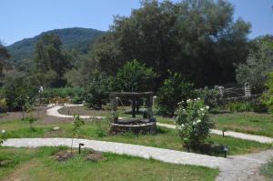 Habitación jardín junto al río