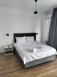 Nicholas Studio Saturn