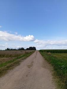 ŁĄKA NA WYŁĄCZNOŚĆ NA PODLASKIEJ WSI HAJNÓWKA BIAŁOWIEŻA namiot, biwak, kemping