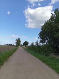 ŁĄKA NA WYŁĄCZNOŚĆ NA PODLASKIEJ WSI HAJNÓWKA BIAŁOWIEŻA namiot, biwak, kemping