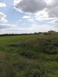 ŁĄKA NA WYŁĄCZNOŚĆ NA PODLASKIEJ WSI HAJNÓWKA BIAŁOWIEŻA namiot, biwak, kemping