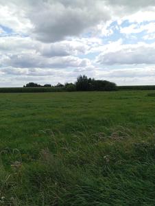 ŁĄKA NA WYŁĄCZNOŚĆ NA PODLASKIEJ WSI HAJNÓWKA BIAŁOWIEŻA namiot, biwak, kemping