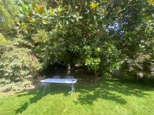 Villa avec jardin et piscine 3 minutes de la Rochelle