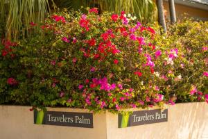COCONUT PALM STUDIO at Travelers Palm Inn Key West