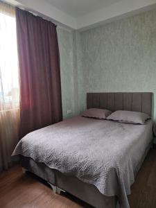 Apartment in bakuriani 36