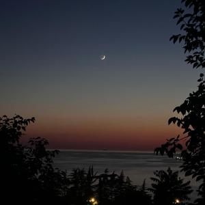 apartament abuseridze