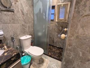 Comfy Studio Stanley, Alexandria