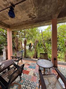 Tahini and Friends Surf, Yoga & Wellness