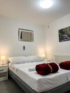 Apartmani MOSLAVINA i parking