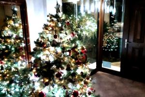 Four Seasons Cozy Apartment Paleo Faliro South Ath